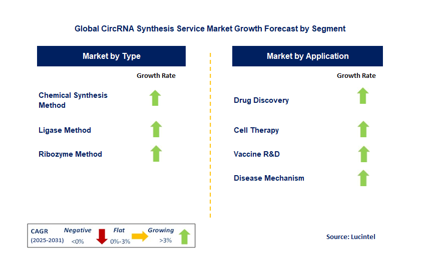 CircRNA Synthesis Service Market by Segment