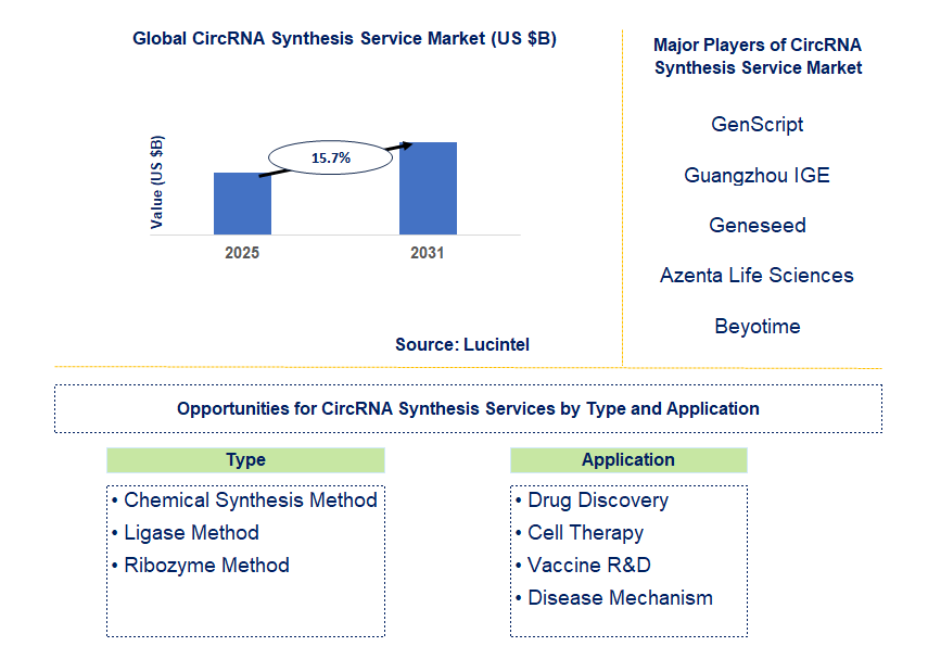 CircRNA Synthesis Service Market Trends and Forecast