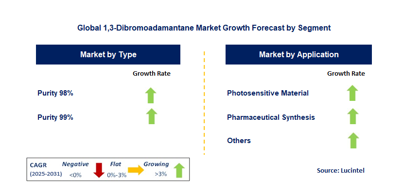 1,3-Dibromoadamantane Market by Segment