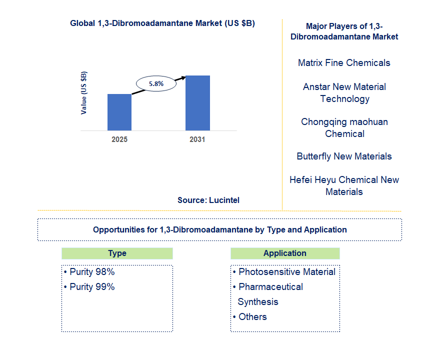 1,3-Dibromoadamantane Market Trends and Forecast