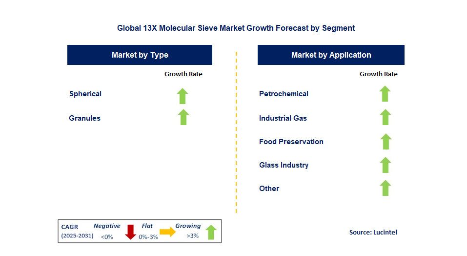 13X Molecular Sieve Market by Segment