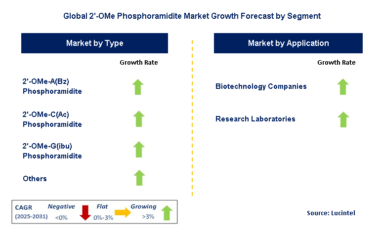 2’-OMe Phosphoramidite Market by Segment