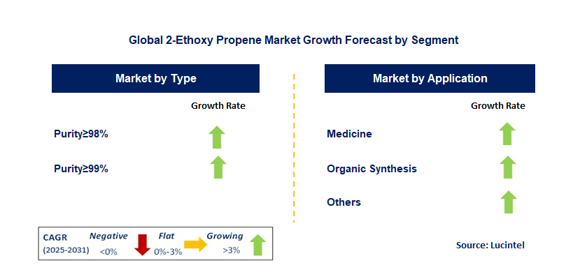 2-Ethoxy Propene Market by Segment