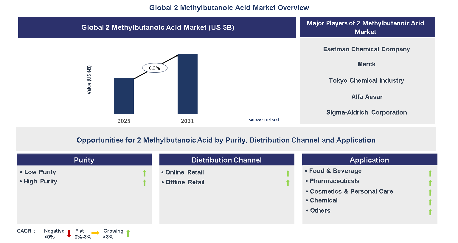 2 Methylbutanoic Acid Market Trends and Forecast