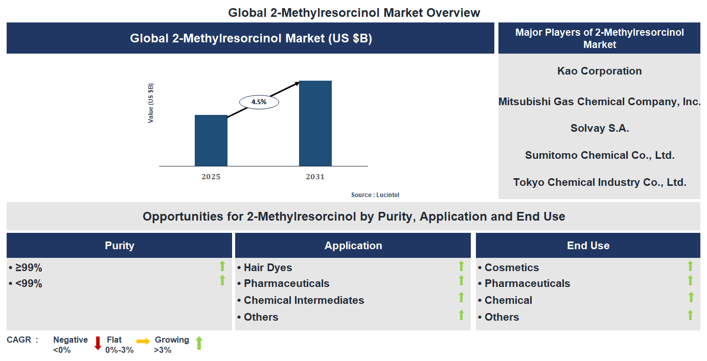 2-Methylresorcinol Market Trends and Forecast