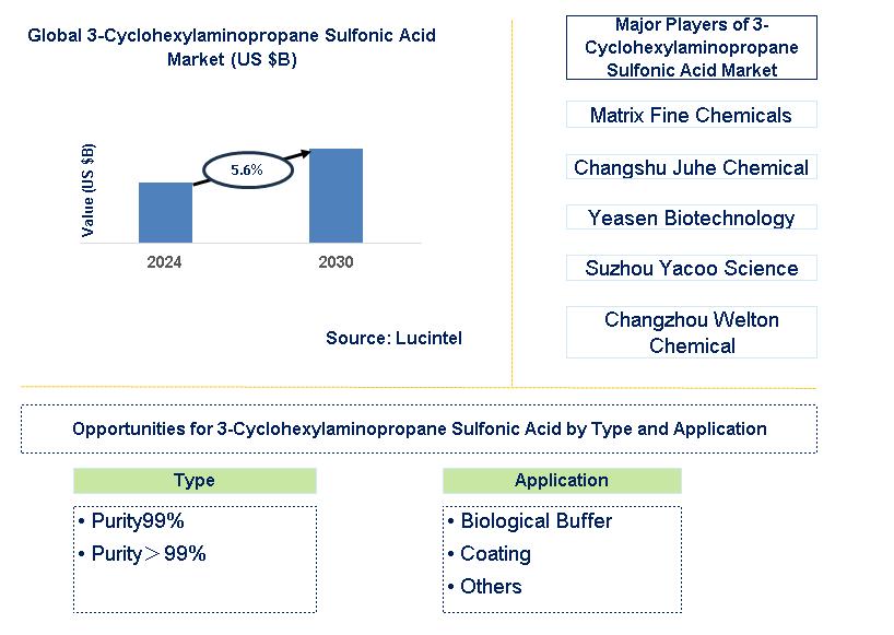 3-Cyclohexylaminopropane Sulfonic Acid Trends and Forecast