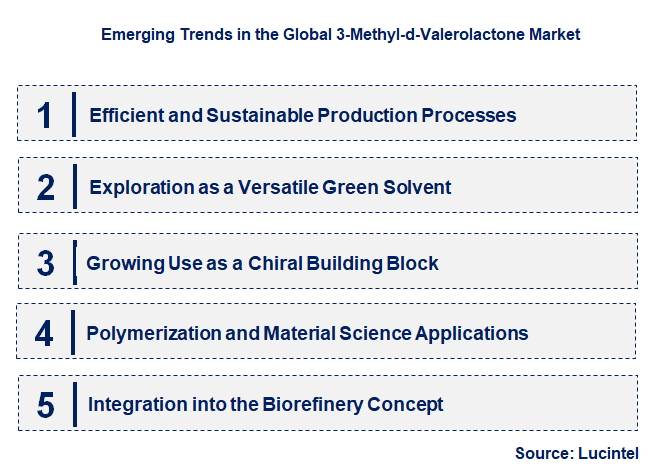 Emerging Trends in the 3-Methyl-d-Valerolactone Market