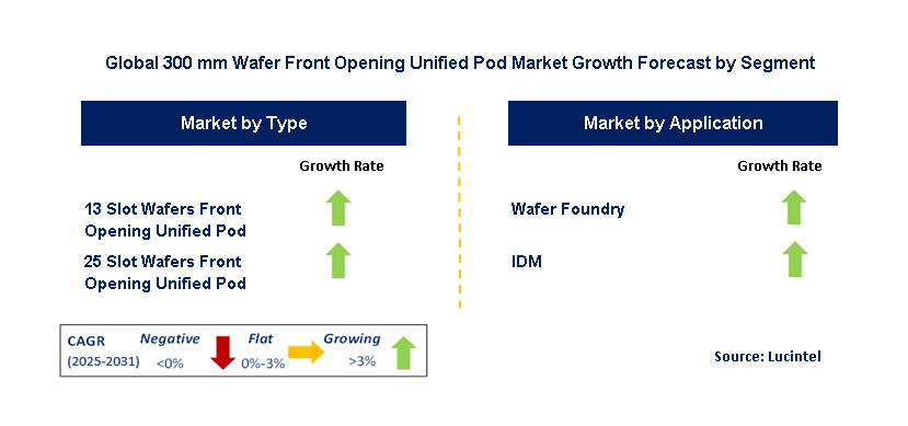 300 Mm Wafer Front Opening Unified Pod Market by Segment