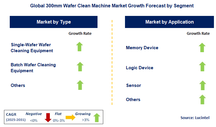 300mm Wafer Clean Machine Market by Segment