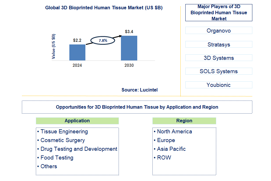 3D Bioprinted Human Tissue Trends and Forecast