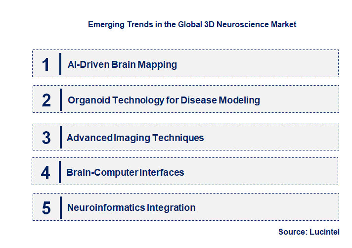 Emerging Trends in the 3D Neuroscience Market