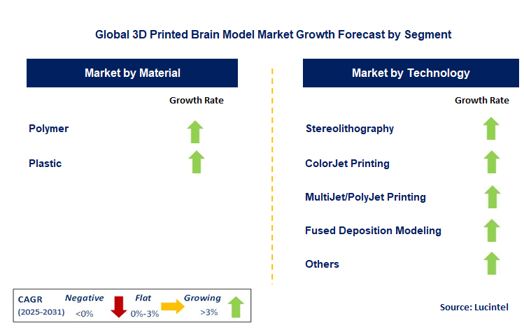 3D Printed Brain Model Market by Segment