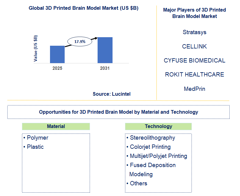 3D Printed Brain Model Market Trends and Forecast