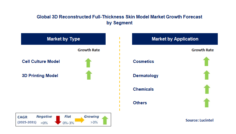 3D Reconstructed Full-Thickness Skin Model Market by Segment