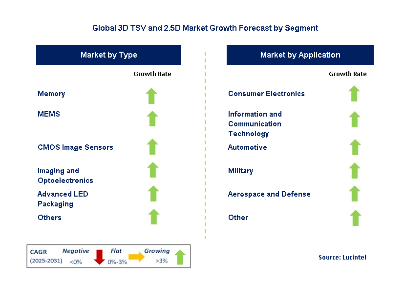3D TSV and 2.5D Market by Segment