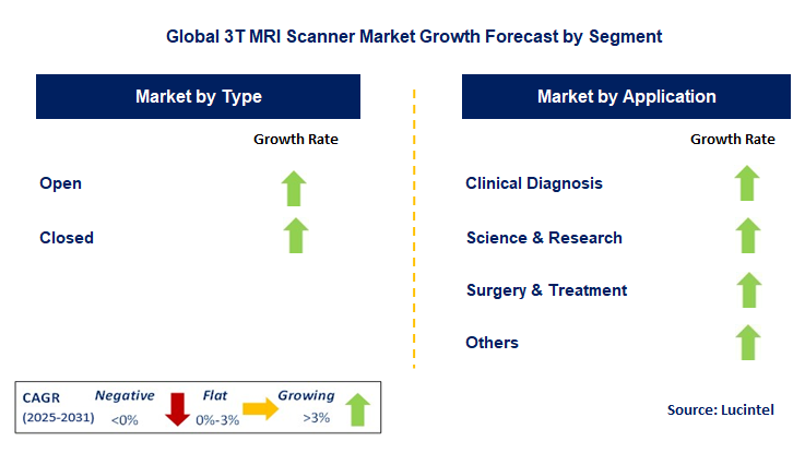 3T MRI Scanner Market by Segment
