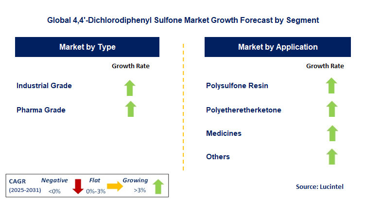4,4’-Dichlorodiphenyl Sulfone Market by Segment 4,4’-Dichlorodiphenyl Sulfone Market by Segment