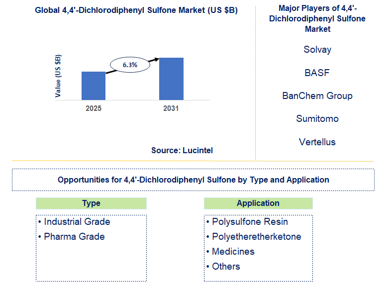 4,4’-Dichlorodiphenyl Sulfone Market Trends and Forecast 4,4’-Dichlorodiphenyl Sulfone Market Trends and Forecast