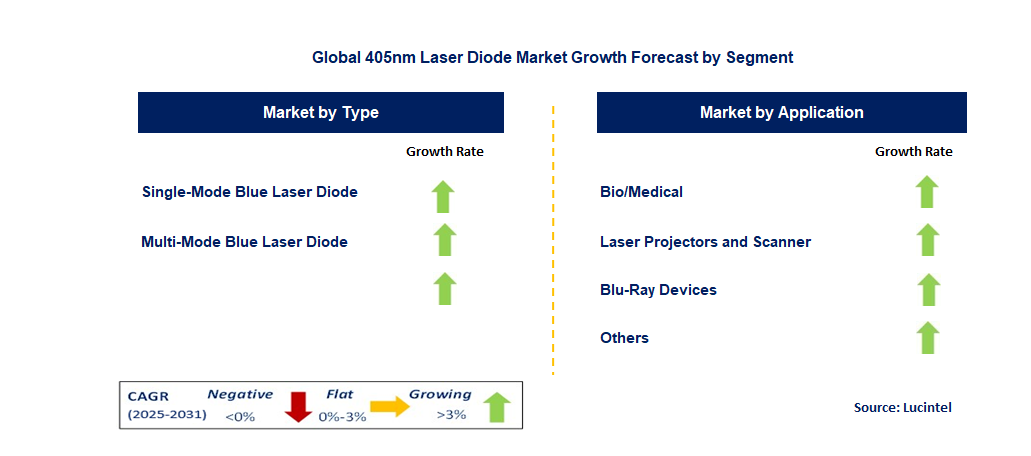 405nm Laser Diode Market by Segment