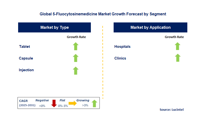 5-Fluocytosine Medicine Market by Segment