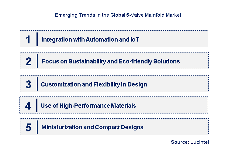 Emerging Trends in the 5-Valve Mainfold Market