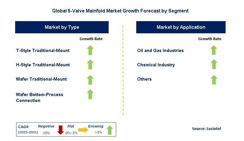 5-Valve Mainfold Market by Segment