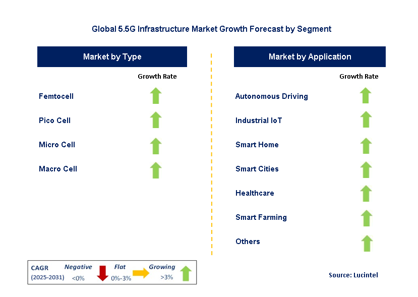 5.5G Infrastructure Market by Segment