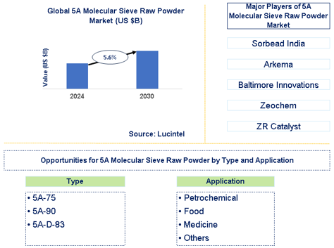 5A Molecular Sieve Raw Powder Market Trends and Forecast