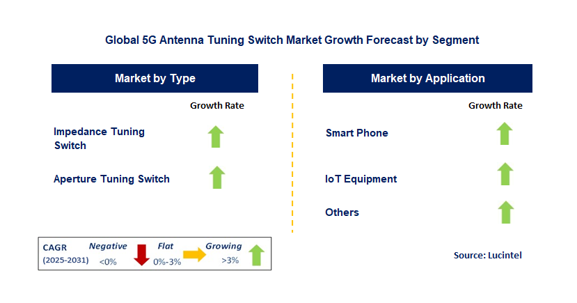 5G Antenna Tuning Switch Market by Segment