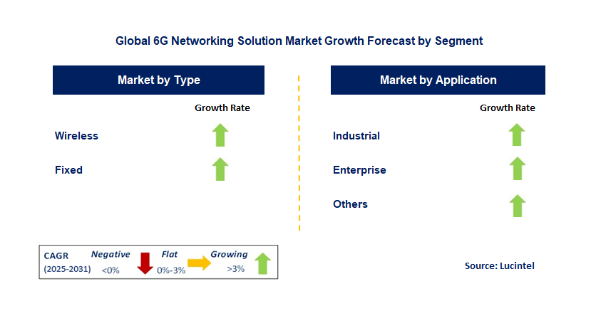 6G Networking Solution Market by Segment