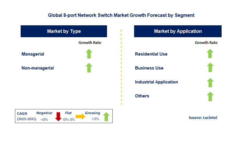 8-Port Network Switch Market by Segment