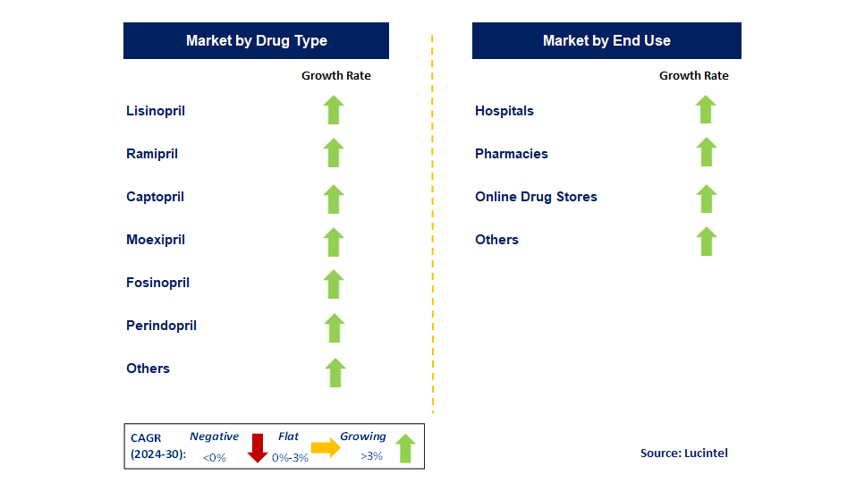 ACE Inhibitors by Segment