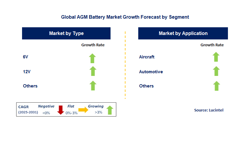 AGM Battery Market by Segment