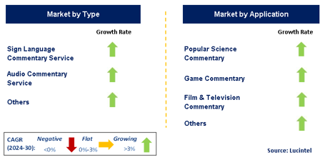 AI Commentary Service Market by Segment