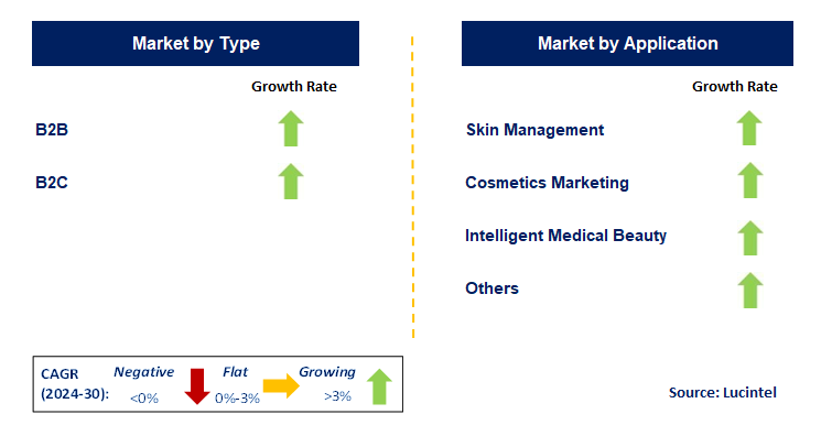 AI Skin Analysis by Segment