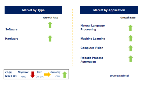 AI Toolkit Market by Segment