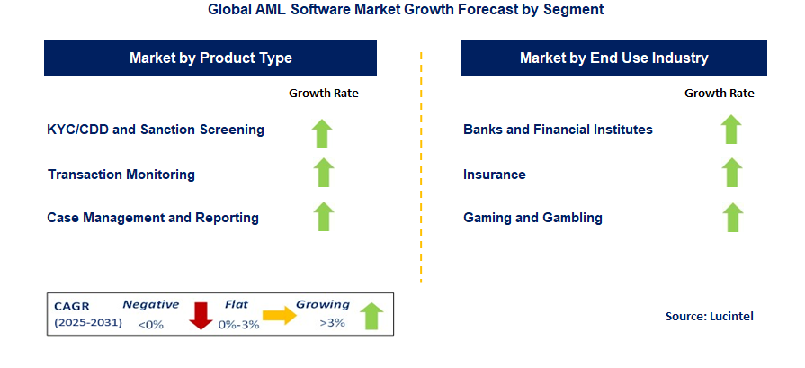 AML Software Market by Segment