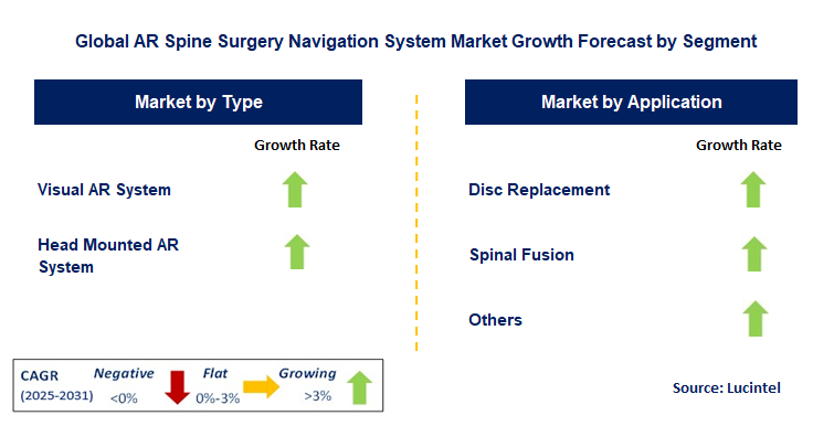 AR Spine Surgery Navigation System Market by Segment