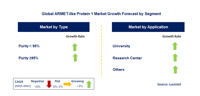 ARMET-like Protein 1 Market by Segment