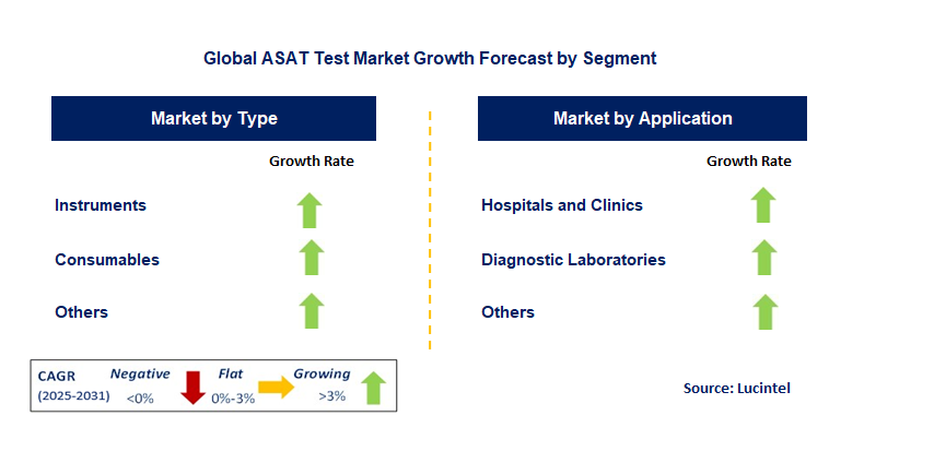 ASAT Test Market by Segment