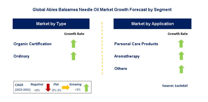 Abies Balsamea Needle Oil Market by Segment