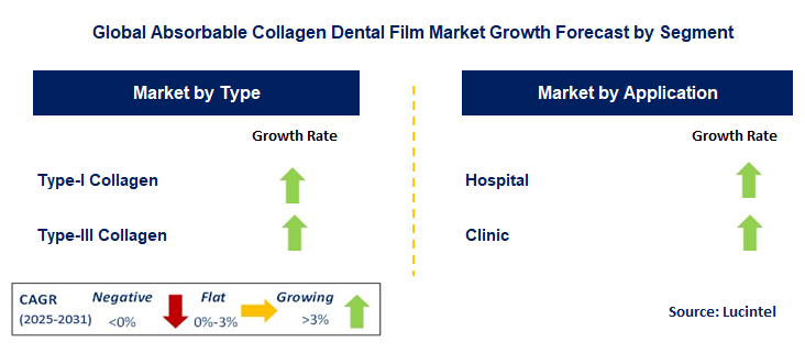Absorbable Collagen Dental Film Market by Segment