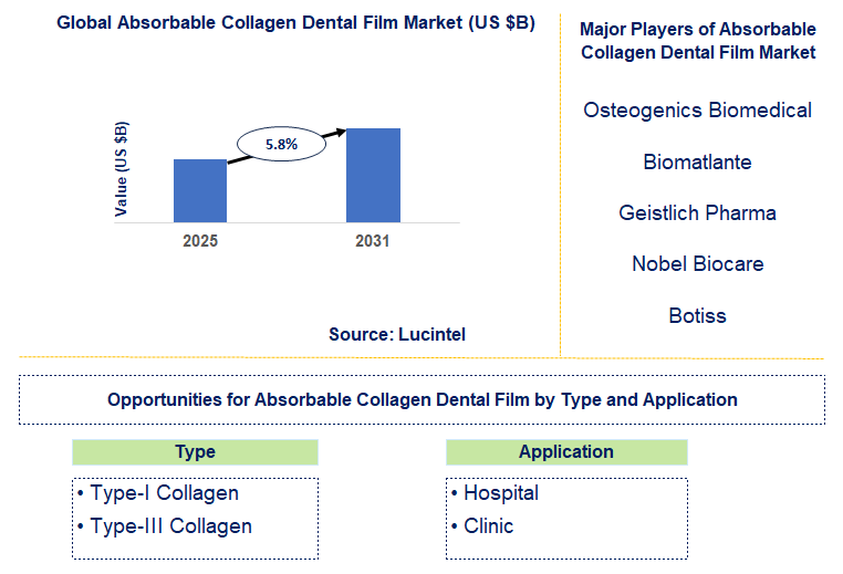 Absorbable Collagen Dental Film Market Trends and Forecast