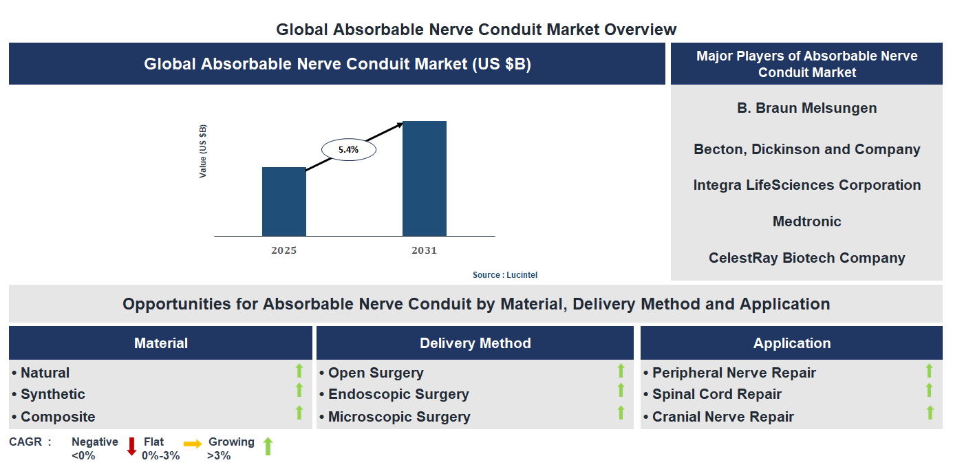 Absorbable Nerve Conduit Market Trends and Forecast