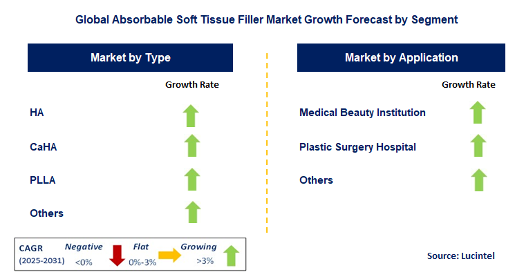 Absorbable Soft Tissue Filler Market by Segment