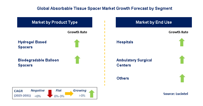 Absorbable Tissue Spacer Market by Segment