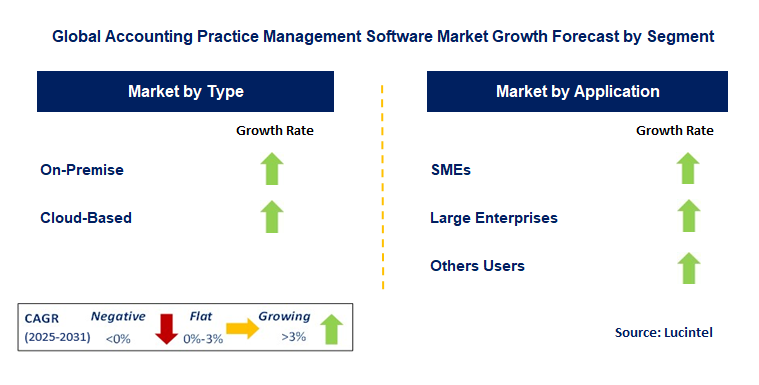 Accounting Practice Management Software Market by Segment
