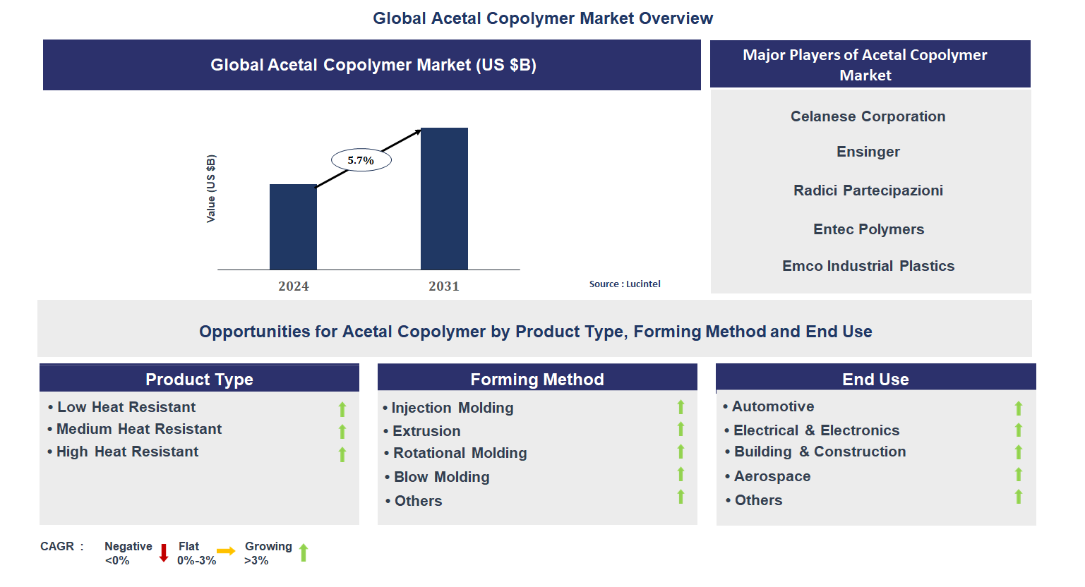 Acetal Copolymer Market Trends and Forecast