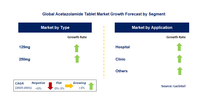 Acetazolamide Tablet Market by Segment