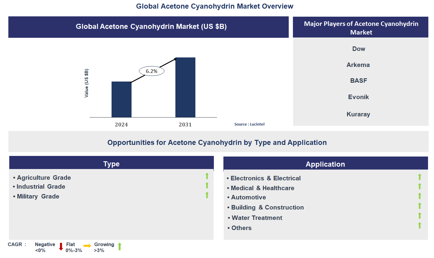 Acetone Cyanohydrin Market Trends and Forecast